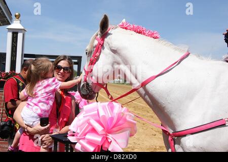 Baltimore, Maryland, USA. 17. Mai 2013. Black-Eyed Susan Szene (Bild Kredit: Credit: Sue Kawczynski/Eclipse/ZUMAPRESS.com/Alamy Live News) Stockfoto