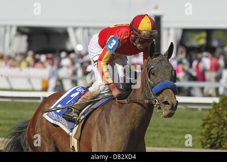 Baltimore, Maryland, USA. 17. Mai 2013. Fiftyshadesofhay (#3), Joel Rosario, gewinnt die Black-Eyed Susan Einsätze bei Pimlico Race Course in Baltimore, Maryland. Trainer ist Bob Baffert. (Bild Kredit: Kredit: Joan Fairman Kanes/Eclipse/ZUMAPRESS.com/Alamy Live-Nachrichten) Stockfoto