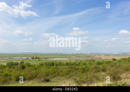 Blick nach Süden aus nach Norden Hügel RSPB in Richtung Themse. North Kent Marschen. Isle of Grain. Stockfoto