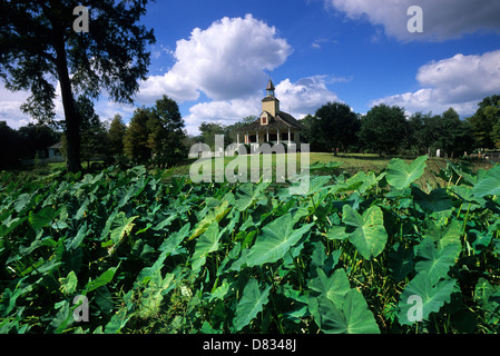 Elk283-3576 Louisiana, Cajun Country, Lafayette, Vermilionville, Chapelle des Attakapas Stockfoto