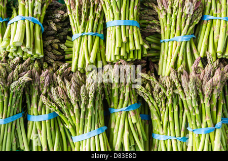 Frisch geernteter Spargel Stiele auf dem Display auf dem Bauernmarkt Stockfoto