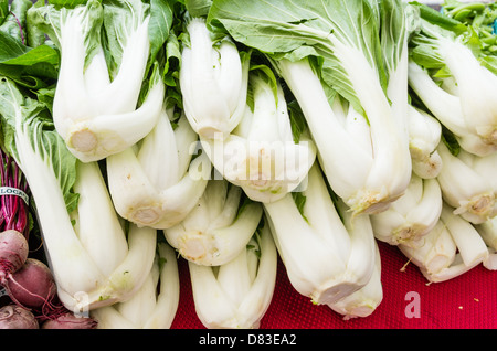 Frisch geerntete Bok Choy oder Chinakohl auf dem Display auf dem Bauernmarkt Stockfoto