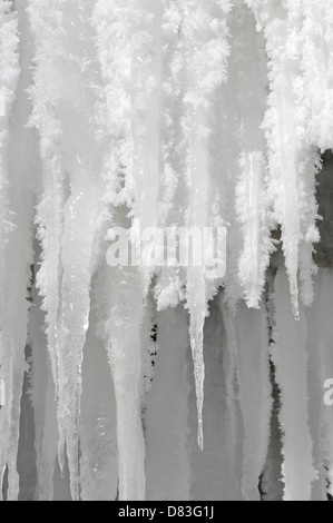 Von einem gefrorenen Wasserfall hängen Eiszapfen mit weichen Rime Eisbildung auf sie. Ontario Kanada. Stockfoto