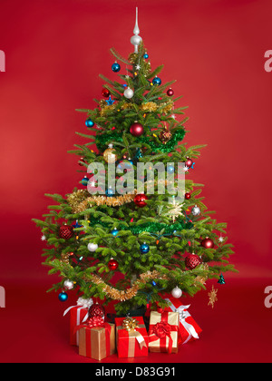 Dekorierte echten Weihnachtsbaum auf rotem Hintergrund isoliert Stockfoto