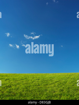 Grüne Wiesen Landschaft unter blauen Himmel von Sonnenlicht beleuchtet. Natur-Kulisse-Hintergrund. Stockfoto