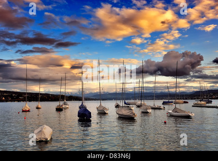 Der kleine Hafen am Zürichsee, Schweiz Stockfoto