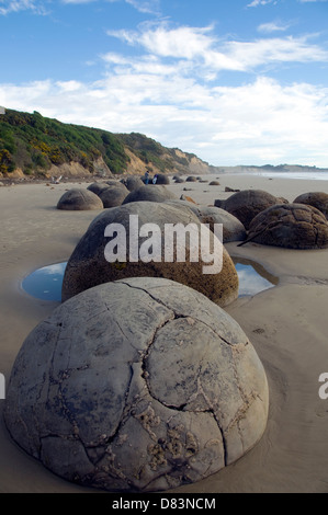 Die Moeraki Boulders in Südinsel, Neuseeland Stockfoto