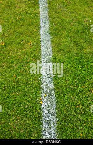 Weiße Linien auf Rasen Fußball Spielfeld Park gemalt Stockfoto