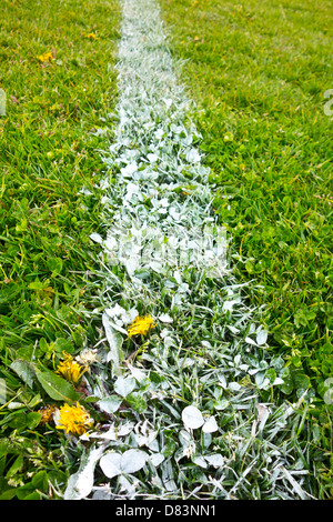 Weiße Linien auf Rasen Fußball Spielfeld Park gemalt Stockfoto