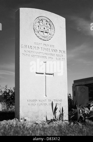 Grabstein von privaten George H Toseland DCM. Starb im Alter von 22. September 1916. PEAKE HOLZ BRITISH CEMETERY, REICHSWEHRMINISTERIUM, SOMME, FRANKREICH. Stockfoto