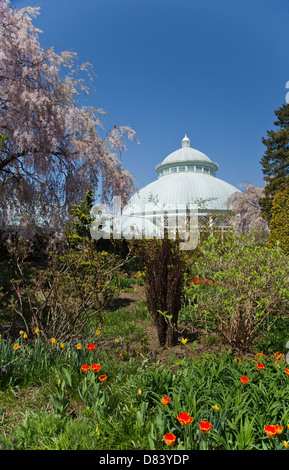 Das Enid A. Haupt Konservatorium an der New York Botanical Garden in der Bronx Stockfoto