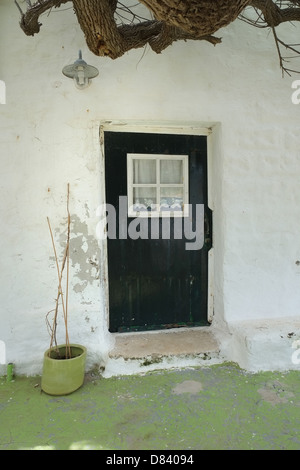 Tür der Spanischen Haus mit Rebe oben, Es Grau, Menorca, Spanien Stockfoto