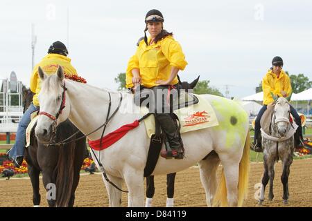 Baltimore, Maryland, USA. 18. Mai 2013. Preakness Day - Pferd einer anderen Farbe (Bild Kredit: Kredit: Sue Kawczynski/Eclipse/ZUMAPRESS.com/Alamy Live News) Stockfoto