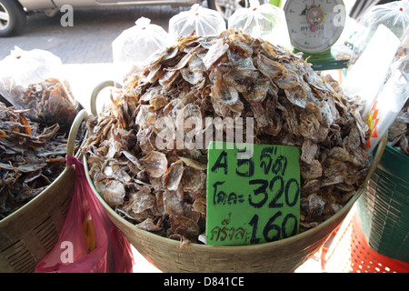 Getrocknete Trupps zum Verkauf an Tha Tian getrocknet Meer Lebensmittel-Markt in Bangkok, Thailand Stockfoto