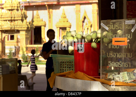 PHUKET, THAILAND 15. Mai 2013: Geld füllt Spendenbox im Wat Chalong in Phuket Stockfoto