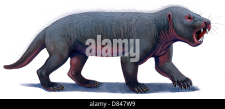 Kayentatherium, ein Säugetier-wie Tritylodont von Kayenta Formation of Northern Arizona. Acryl-Malerei. Stockfoto