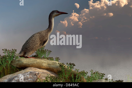 Hesperornis an der Küste. Stockfoto