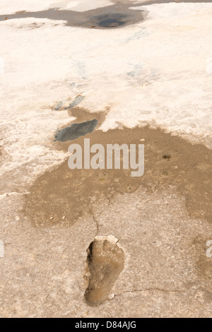 Fußspuren im Sand auf einem Moor Stockfoto