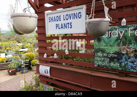 Die unabhängige Ashwood Baumschulen Gartencenter lokal bekannt für qualitativ hochwertige Pflanzen und Bäume Stockfoto