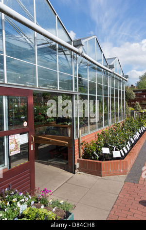 Die unabhängige Ashwood Baumschulen Gartencenter lokal bekannt für qualitativ hochwertige Pflanzen und Bäume Stockfoto