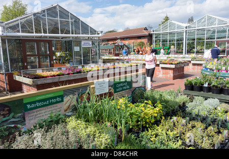 Die unabhängige Ashwood Baumschulen Gartencenter lokal bekannt für qualitativ hochwertige Pflanzen und Bäume Stockfoto