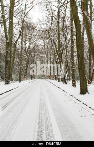 Stewarts fahren, Burnham Beeches im Schnee Stockfoto