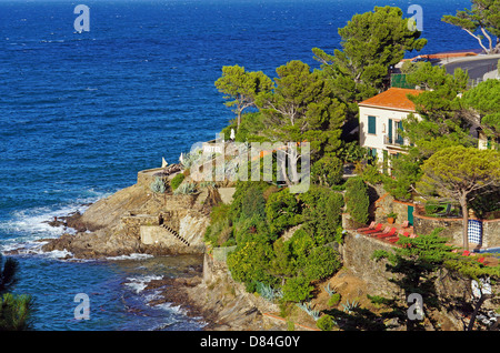 Hotel am Meer in der mediterranen Dorfes Collioure. Vermilion Küste, Roussillon, Frankreich Stockfoto
