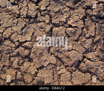 Hintergrund aus alten silage Stockfoto