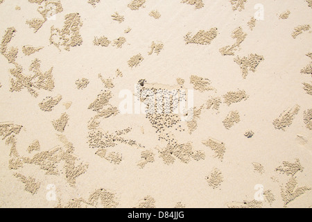 Muster auf Borneo Strand von Sand Krabben Graben gemacht Stockfoto