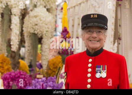 London, Großbritannien. Mai 2013. RHS Chelsea Flower Show, eine Rentnerin aus Chelsea, hat eine kurze Vorschau auf die Arbeiten im Großen Pavillon. Foto: Nick Savage/Alamy Live News Stockfoto