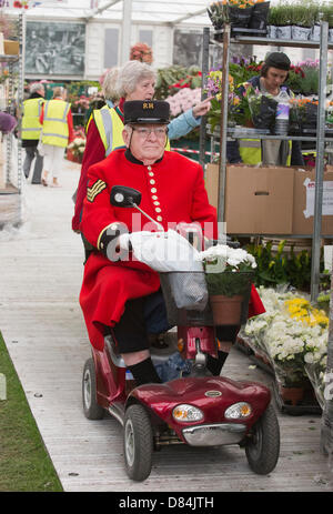 London, Großbritannien. Mai 2013. RHS Chelsea Flower Show, Chelsea Rentner mit einer kurzen Vorschau der Arbeiten im Großen Pavillon. Foto: Nick Savage/Alamy Live News Stockfoto