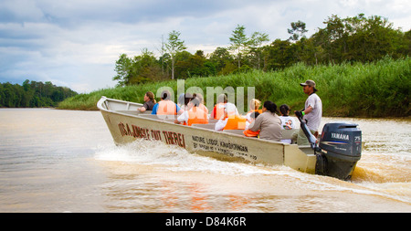 Touristen genießen eine Tier-Safari auf dem Kinabatangan Fluss in Sabah Borneo Stockfoto