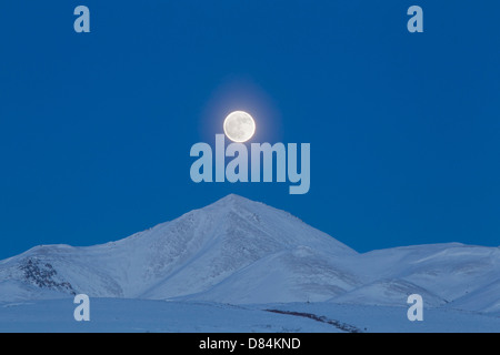 Vollmond über Ogilvie Mountains, Tombstone Park, Dempster Highway, Kanada. Stockfoto