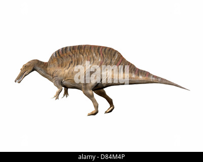 Spinosaurus Aegyptiacus, frühen Kreidezeit von Ägypten. Stockfoto