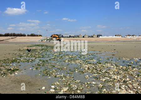 Goring-by-Sea, West Sussex, England UK Stockfoto