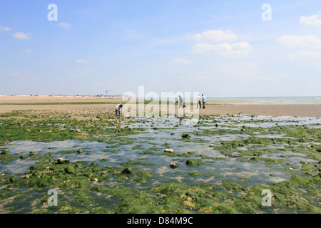 Goring-by-Sea, West Sussex, England UK Stockfoto