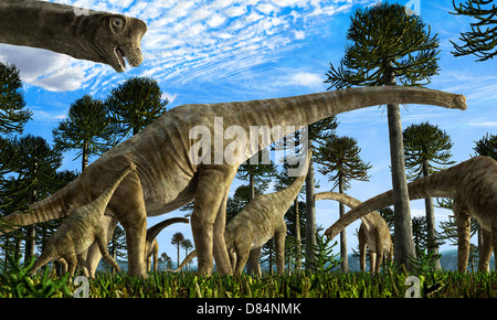 Giraffatitan Brancai Dinosaurier Weiden in einem Jura-Umfeld. Stockfoto
