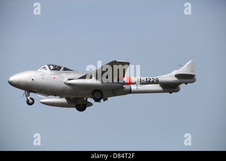 Eine historische de Havilland DH 112 Venom Jet Trainer der Schweizer Luftwaffe im Flug über Belgien. Stockfoto