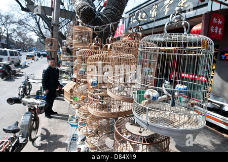 Tierhandlung mit Vogelkäfige auf einem Bürgersteig in China, Peking