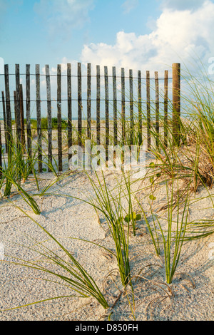 Eine Sanddüne mit Seegras Sand Zaun am Strand entlang. Stockfoto