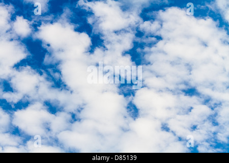 Geschwollene weißen Wolken vor einem perfekten blauen Himmel. Stockfoto