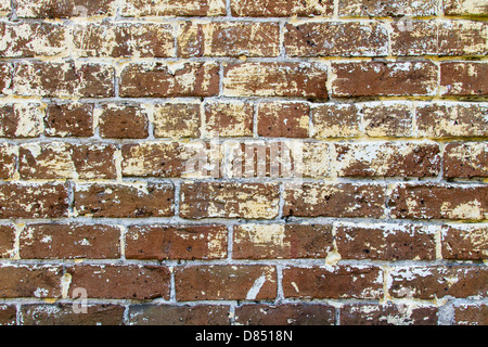 Einer roten Backsteinmauer aus einem Gebäude in Savannah, Georgia. Stockfoto