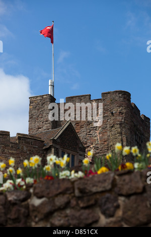 Blick hinauf in Richtung Tamworth Castle, mit den bunten Frühling Blumenbeete im Vordergrund. Stockfoto