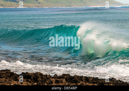 Welle brechen auf Lava Regal, Oahu, Hawaii Stockfoto