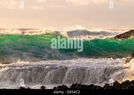 Welle brechen auf Lava Regal, Oahu, Hawaii Stockfoto