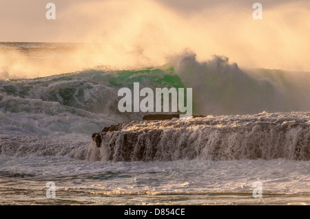 Welle brechen auf Lava Regal, Oahu, Hawaii Stockfoto