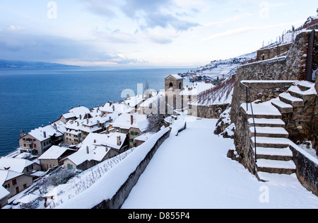 St. Saphorin, Schweiz Stockfoto