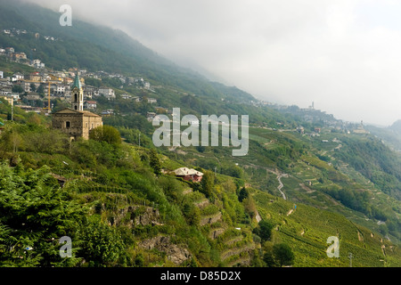 Italien-Lombardei-Valtellina-Chiuro Weinberge Stockfoto