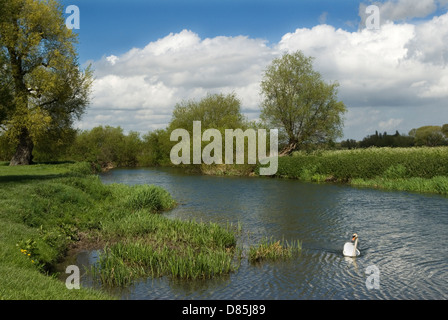 Grantchester Cambridgeshire UK The River Cam, auch bekannt als River Granta in Grantchester. 2010 2010er Jahre HOMER SYKES Stockfoto