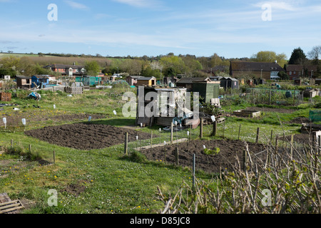 Kleingärten Stockfoto